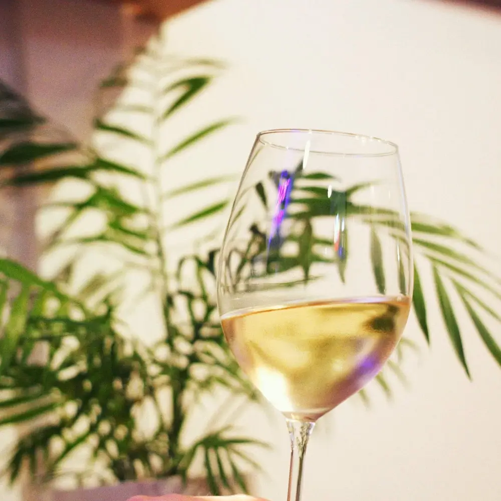 Glass of wine at Tomoko